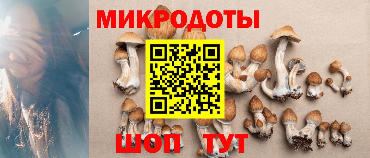 Псилоцибиновые грибы Cubensis Луховицы
