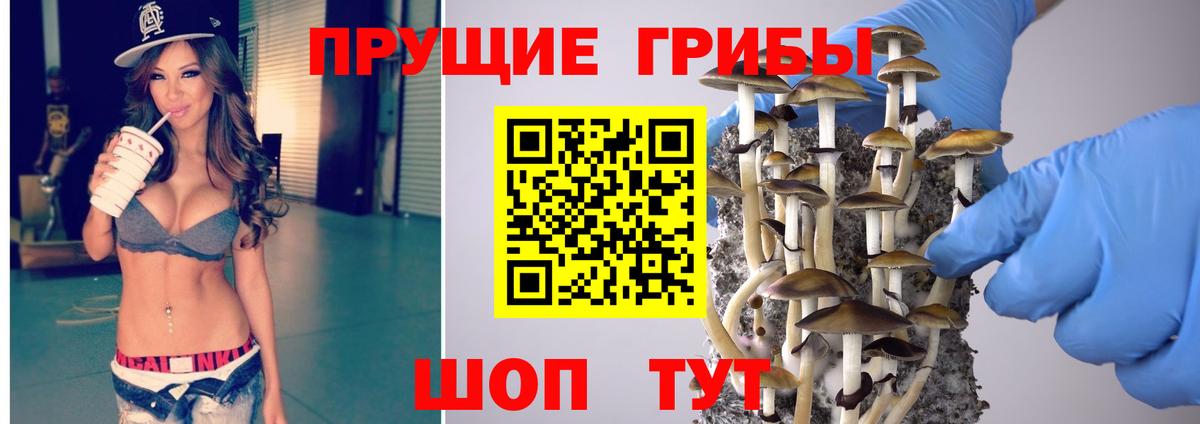 Луховицы  Галлюциногенные грибы мицелий  Вход с VPN 